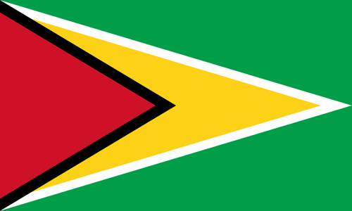 country-flag